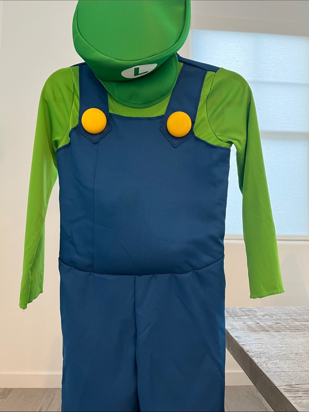 Nintendo Super Mario Bros Luigi Costume Size Medium 7-8